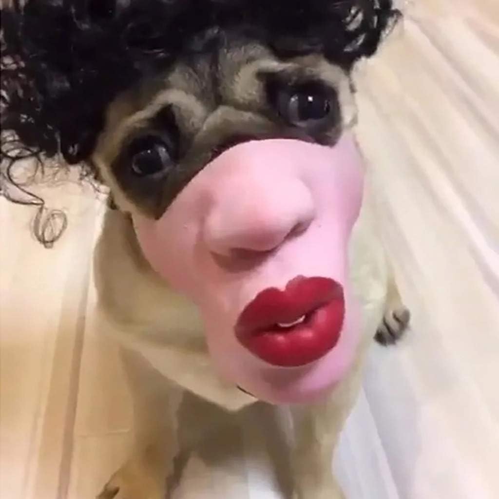 Wokee Christmas Pet Dog Face Mask Pet Entertainment Spoofs Funny Cosplay Mask,Halloween Dog Toys Dog Costume Head Cover