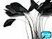 Moonlight Feather | 1 Dozen - Black Stripped Rooster Coque Tail Feathers Craft Costume Supply
