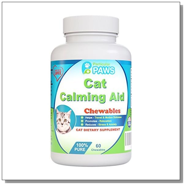 Why Does My Cat's Stomach Look Shaved? BLUE CRYSTAL SKY