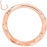 365 Sleepers 316L Surgical Steel Hypoallergenic 16G Twist Septum Jewelry Hinged Segment Ring Body Piercing Hoop Lip Rings Helix Cartilage Rook Sleeper Earrings 8mm – 10mm
