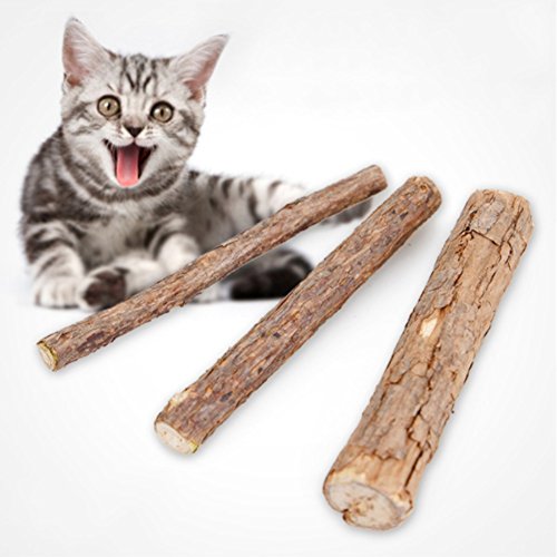 Cat Cleaning Teeth Pure Natural Catnip Pet Cat Molar Toothpaste Stick Silvervine Actinidia Fruit Matatabi Cat Snacks Sticks