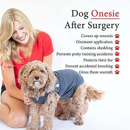 BellyGuard After Surgery Dog Recovery Onesie, Post Spay, Neuter, Body