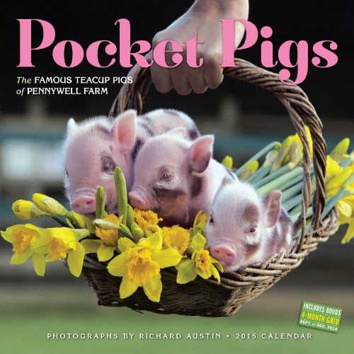 Pocket Pigs 2015 Calendar: The Famous Teacup Pigs of Pennywell Farm Calendar โ Wall Calendar, July 21, 2014