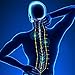 Muscle Soft Pain Relieving Magnetic Acupuncture Plaster Pack of 20 Pcs for Back Pain, Shoulder Stiffness - 650 Gauss Magnets with Gold-Plated Spring Needles (Fragrance & Chemical Free)