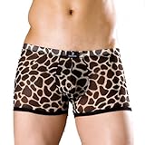 Dominik Men's Leopard Sheer Mesh Boxer Trunks