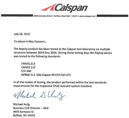 NapUp Child Car Seat Head Support - Safe, Comfortable Support Solution (Light Blue)