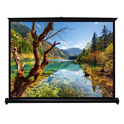 HENZIN 40â€ 16:9 Mini Portable Desk Projector Screen Outdoor Indoor Home Cinema Office Business Easy Carry Moive projection Screen Pull Up Projector Screen w PVC Fabric, Matte White 1.3 Gain â€¦
