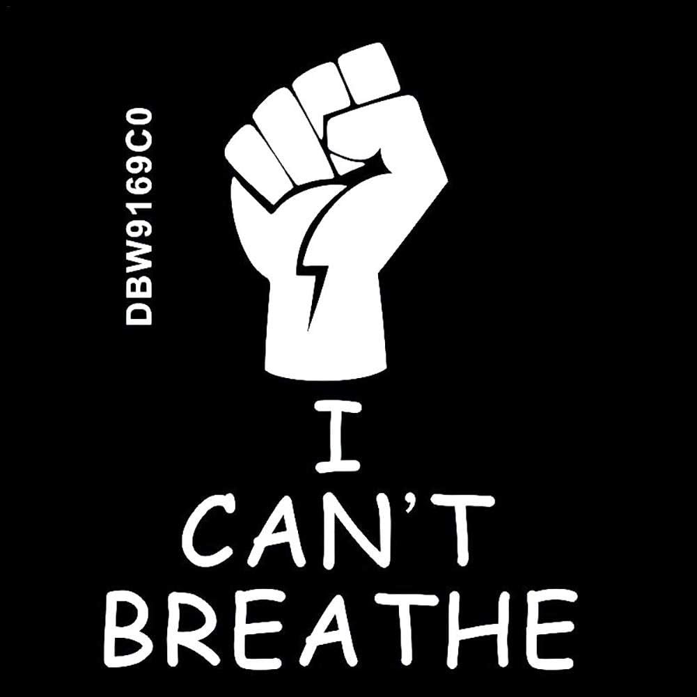 sofulaile Car Sticker Removable Durable Vinyl Window