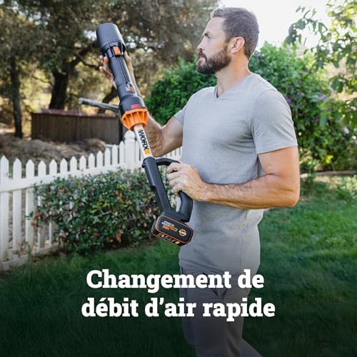 Souffleur Brushless sans Fil 20V WG543E.9