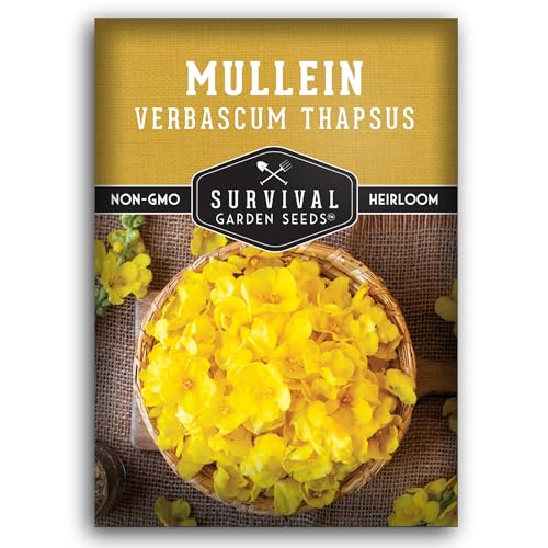 Mullein Seed for Planting - 1 Packet with Instructions to Plant and Grow Medicinal Herb Common Mullein in Your Home Vegetable Garden - Non-GMO Heirloom Variety - Survival Garden Seeds