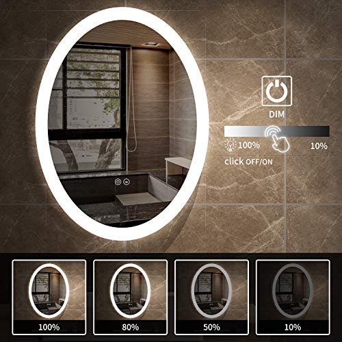 JORYOO 22x28 inch Led Lighted Bathroom Mirror Oval with Led