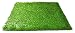 Pet Dog Pee Turf Replacement for Bathroom Relief System, Weather Proof, Synthetic Grass, Housebreaking, Portable, Easy Clean, Non-Toxic, Perfect for Indoor and Outdoor (20 x 25 Inch)