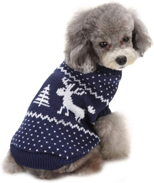 pomeranian dog husky