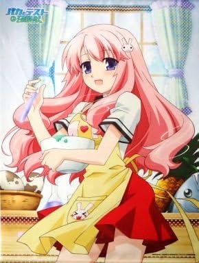 Amazon Co Jp 姫路瑞希 B2タペストリー バカとテストと召喚獣 バカテス 品 ホビー 通販