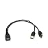 Electop USB 2.0 A Female To 2 Dual USB Male Jack Y Splitter Charger Cable