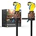 Solar Garden Lights Parrot Sculpture Solar LED Lights Powered by Solar Outdoor Adjustable Solar Panel for Garden Courtyard Home Decoration, Warm White (Blue&Yellow)