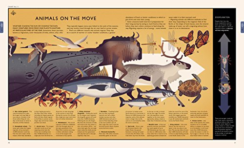 Curiositree: Natural World: A Visual Compendium of Wonders from Nature - Jacket unfolds into a huge wall poster!