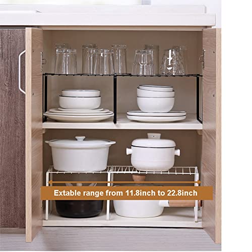 Expandable Stackable Kitchen Storage and Counter Shelf