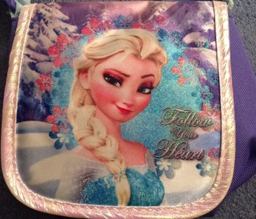 Disney Frozen Elsa Anna Pocketbook Spacious Purse w/ shoulder strap Beautiful Purple Pink Dress up Play Handbag for Girls