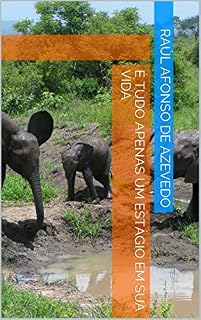Livro É tudo apenas um estágio em sua vida