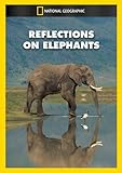 Reflections on Elephants