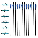 VNAKER 20 Inch Carbon Crossbow Bolts 12 Pack and