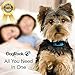 DogRook Rechargeable Dog Bark Collar - No Shock Training Smart Collar - Beep & Vibrating - Anti Bark Collar for Large Dog, Medium & Small Dog - No Shock Bark Collar - 12-110 lbs