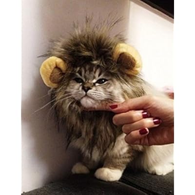 Pet Supplies Itplus Mignon Chatonkittypet Costume Lion