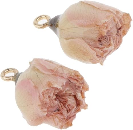 Amazon Co Jp Dailymall 人工造花 バラ 花 ループ付き イヤリング 手作り ピアス 枯れない花 ドライフラワー 消臭 全6色 ピンク ホビー Amazon Co Jp Dailymall 人工造花 バラ 花 ループ付き イヤリング 手作り ピアス 枯れない花 ドライフラワー 消臭 全6色 ピンク ホビー