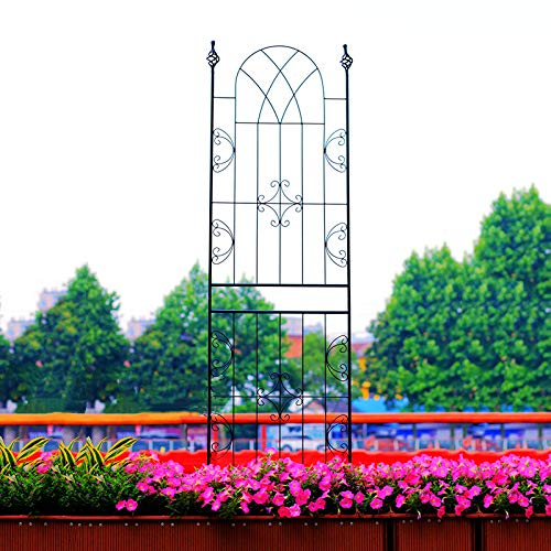 PLHMS Rankhilfe Metall Rankgitter 225x60cm, Groß Kletterhilfe Spalier, Rankgerüst, Rosen Gitterspalier, für… – Bild 6