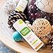 Cleanwell Botanical Hand Sanitizer Spray, Travel Size, Alcohol Free, Antibacterial, Kid Friendly, Plant-Based, Cruelty Free, Moisturizing Formula, Orange Vanilla, 1 Fl Oz (Pack of 6)