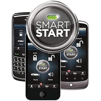 Amazon.com: Directed Smart Start DSM250: Car Electronics