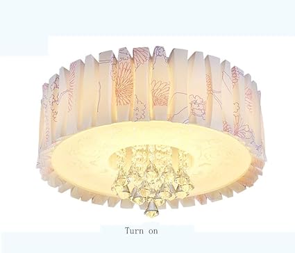 Luhen Ceiling Light Home Living Room Bedroom Ceiling Light