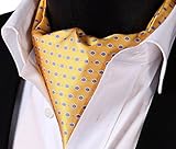 SetSense Men's Floral Jacquard Woven Self Cravat Tie Ascot