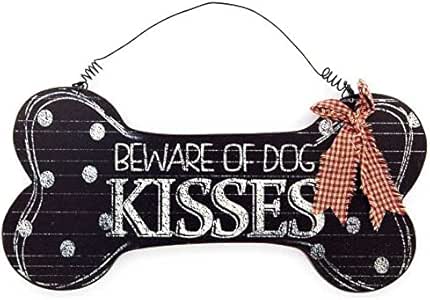 reptiles you can keep as pets