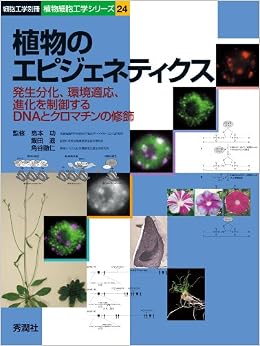 アマゾン
