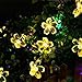 ECOWHO Solar String Lights, 23ft 50 LED Waterproof Fairy Lights Outdoor Starry Lights for Patio, Garden, Party, Yard, Gate, Christmas (Warm White)