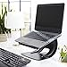 Amazon Basics Laptop Desk Stand for PC and MacBook - Black