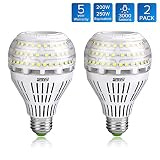 SANSI 22W (200-250 Watt Equivalent) A21 Ceramic LED Light Bulbs, ETL Listed, Daylight 5000K, Bright 3000lm, E26 Base, Non-dimmable, 2-Pack