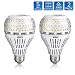 SANSI 22W (200-250 Watt Equivalent) A21 Ceramic LED Light Bulbs, ETL Listed, Daylight 5000K, Bright 3000lm, E26 Base, Non-dimmable, 2-Pack