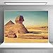 MEETSIOY 7x5ft World Famous Architecture Backdrop Egyptian Sphinx Background Photo Booth Studio Props Theme Party Backdrop MT415