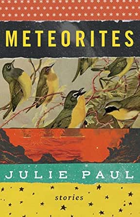 Meteorites Stories Kindle Edition By Paul Julie Literature Fiction Kindle Ebooks Amazon Com Meteorites Stories Kindle Edition By Paul Julie Literature Fiction Kindle Ebooks Amazon Com