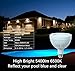 LED Pool Light 60W 5400lm High Brightness White Light 6500K Replacement for 500W Incandescent Bulbs in Pool Light (120V,60W)