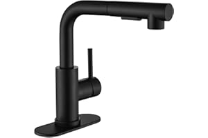 APPASO Black Bar Sink Faucet, Stainless Steel Kitchen Faucets with Pull Out Sprayer, Modern Single Handle Small Mini Prep Faucets for RV Outdoor, Deck Plate Included