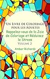 Image de Un Livre de Coloriage pour les Adultes: Rappelez-vous de la Joie de Coloriage et Réduisez le Stress Volume 2 (Rappelez-vous de la Joie de Coloriage e
