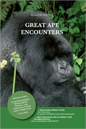 Httpsarininapgq 2019 10 04t2025110000 Daily 10 Https - 