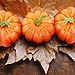 ShellKingdom Artificial Mini Pumpkin for Decoration, Fall Pumpkin for Home/Wedding Thanksgiving/Halloween/Party Decoration 12 PCS (Orange)