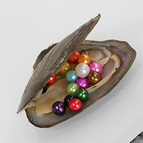 10pcs Freshwater Cultured Love Wish Pearl Round Pearl 10 Shining Meaningful Color, Valentines Parent Birthday Gifts Pearl Party,1 Oyster with 10 Pearls Inside (7-8mm)