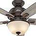Hunter Donegan Indoor Ceiling Fan with LED Light and Pull Chain Control, 44