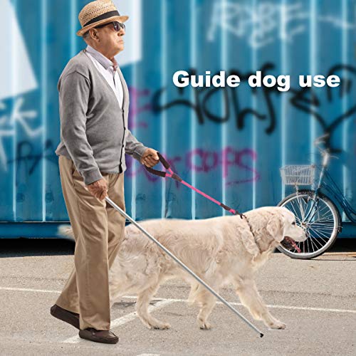 voopet 2 Feet Nylon Dog Leash, Strong Leash with Highly Reflective Threads for Medium Large Heavy Duty Dog Leads, Easy Control with Short Dog Leash for Climbing Training Walking and Guiding Blind - Thumbnail 4